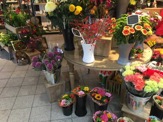 Blumenmöbel Modell Sulingen