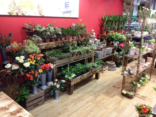 Blumentische SET Aurich als Treppe
