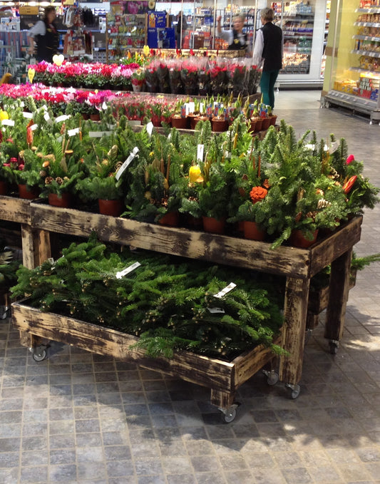 Blumentisch SET Modell Aurich/ klein