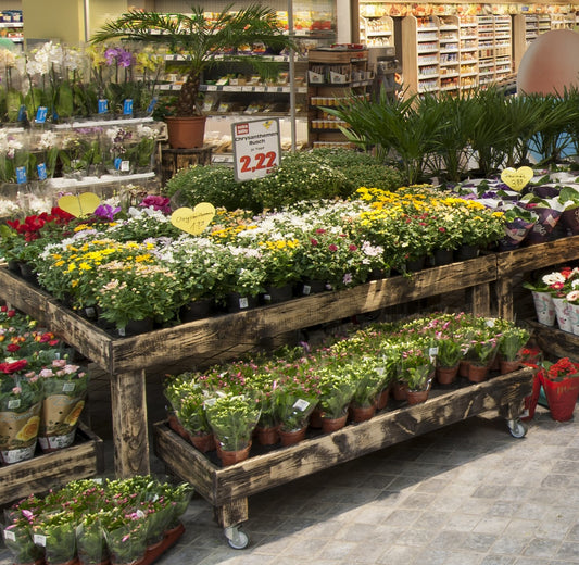 Blumentisch SET Modell Aurich /groß