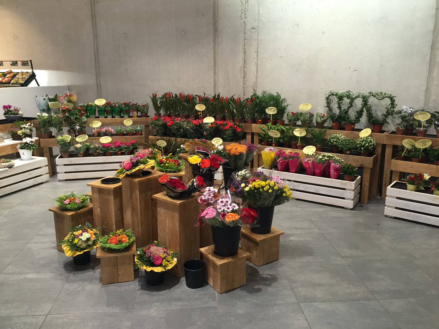 Blumenwürfel Modell Aurich SET 10 Würfel in 5 versch. Höhen